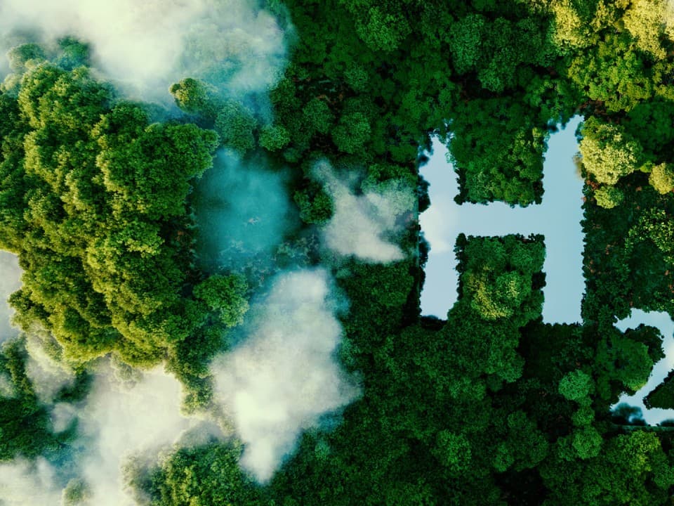 Illustration dans la forêt avec H₂