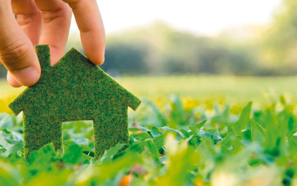 Maisonnette verte dans l'herbe